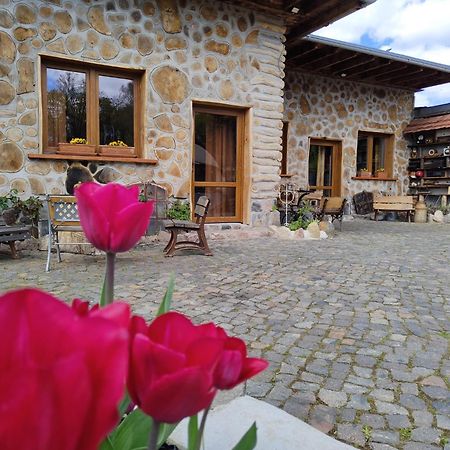 Pokoje Goscinne Skalnik - Agroturystyka Kostrzyn nad Odra Ngoại thất bức ảnh