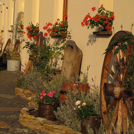 Pokoje Goscinne Skalnik - Agroturystyka Kostrzyn nad Odra Ngoại thất bức ảnh