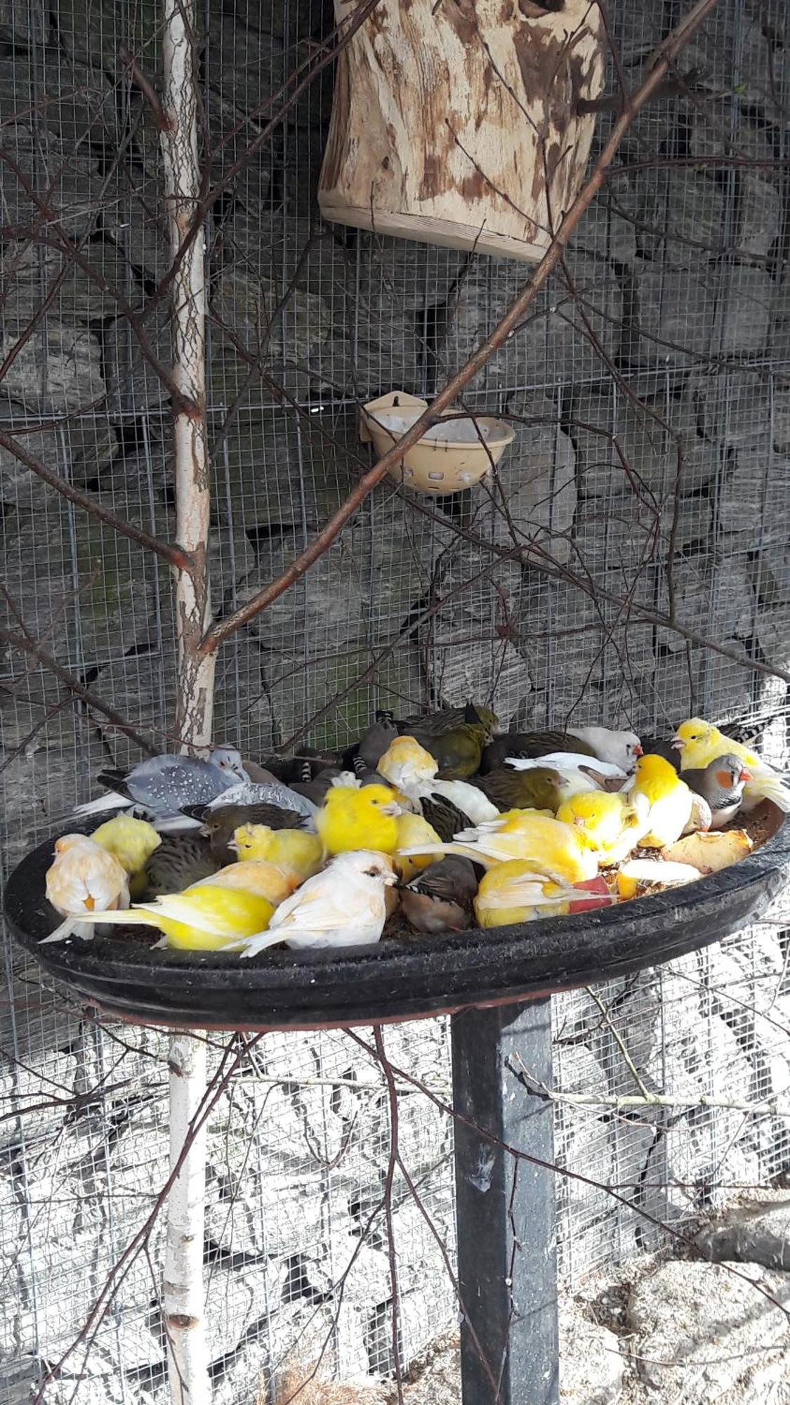 Pokoje Goscinne Skalnik - Agroturystyka Kostrzyn nad Odra Ngoại thất bức ảnh